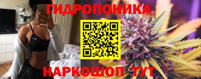 spice Изобильный
