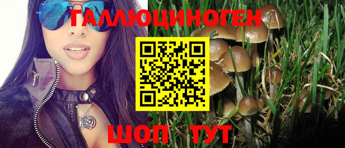 Кушва  Псилоцибиновые грибы Psilocybine cubensis  закладка  Вход с VPN 