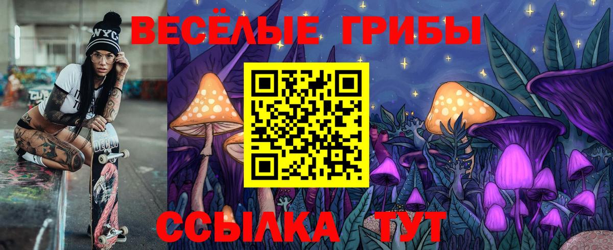 Галлюциногенные грибы Psilocybine cubensis Кушва